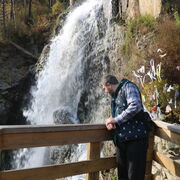 ���������� �����������, ���� ������� �����, 43 ����, ������������ ��� ������, ����� � ���������, c�������� ���������