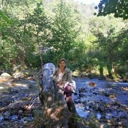 ���������� �����������, ���� ������� �������, 44 ����, ������������ ��� c�������� ���������