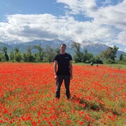 ���������� ������, ���� ������� ������������, 31 ���, ������������ ��� ������, ����� � ���������