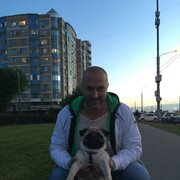 ���������� ����, ���� ������� �����, 50 ���, ������������ ��� ������, ����� � ���������, c�������� ���������