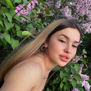 ���������� �����������, ���� ������� ���������, 24 ����, ������������ 