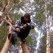 ���������� �����, ���� ������� ���������, 31 ���, ������������ ��� ������, ����� � ���������, c�������� ���������, ���������