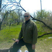  ,   , 65 ,  