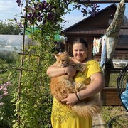 ���������� ���, ���� ������� ���������, 31 ���, ������������ ��� ������, ����� � ���������, ���������