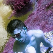 ���������� �����, ���� ������� ����, 31 ���, ������������ ��� ������