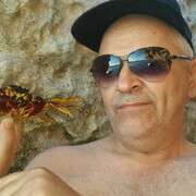  ,   , 65 ,  