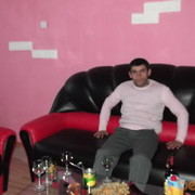  ,   GOGA, 41 ,   