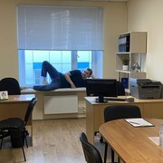 ���������� �����-���������, ���� ������� ������, 29 ���, ������������ ��� ������