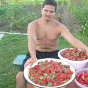 ,   , 44 ,   ,   , c , 