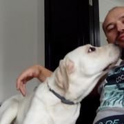 ���������� ������, ���� ������� �������, 40 ���, ������������ ��� ������, ����� � ���������, c�������� ���������