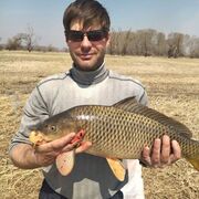 ���������� �������, ���� ������� �����, 38 ���, ������������ ��� ������, ����� � ���������, c�������� ���������, ���������