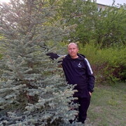 ���������� ������������, ���� ������� ������, 43 ����, ������������ ��� ������, ����� � ���������