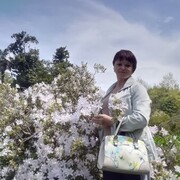  --,   , 62 ,   ,   , c 