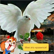  ,  , 39