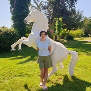  -,   , 54 ,   c 