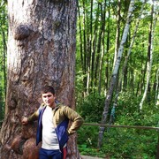 ���������� ��������, ���� ������� �������, 32 ����, ������������ ��� ������, ����� � ���������, c�������� ���������