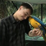 ���������� ���������, ���� ������� ����, 34 ����, ������������ ��� ������, ����� � ���������, c�������� ���������