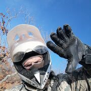 ���������� �����������, ���� ������� �����, 37 ���, ������������ 