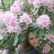  ,   Nikandra, 34 ,   
