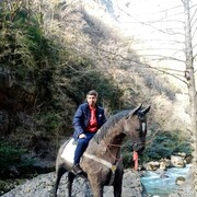 ���������� ��������, ������� ����, 50