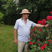 ,   , 54 ,     