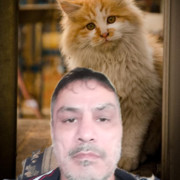 ���������� ���������, ���� ������� �����, 50 ���, ������������ ��� ������, ����� � ���������, c�������� ���������