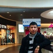  -,   , 40 ,   ,   