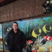 ,   , 44 ,     , c , 