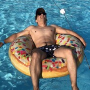 ���������� ���������, ���� ������� ���������, 31 ���, ������������ ��� ������, ����� � ���������, c�������� ���������, ���������