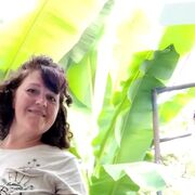 ���������� �����-���������, ���� ������� ����, 48 ���, ������������ ��� c�������� ���������