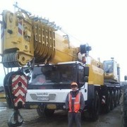 ���������� �������������, ���� ������� �������, 44 ����, ������������ ��� ������