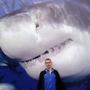 ���������� ���������, ���� ������� ���������, 43 ����, ������������ ��� ������, ����� � ���������, c�������� ���������