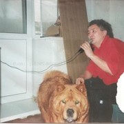  ,   , 57 ,   