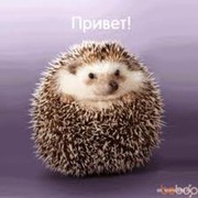 ���������� �������, ������� Roma, 38