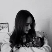  -,   , 27 ,     