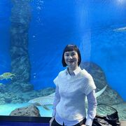 ���������� �����������, ���� ������� �������, 46 ���, ������������ ��� ����� � ���������, c�������� ���������