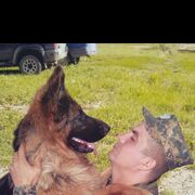 ���������� ����������, ���� ������� ���������, 40 ���, ������������ ��� ������, ����� � ���������, c�������� ���������