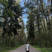 ���������� ������, ���� ������� �����, 36 ���, ������������ ��� ������, ����� � ���������, c�������� ���������, ���������