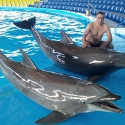 ���������� ����, ���� ������� �����, 45 ���, ������������ ��� ������, ����� � ���������, c�������� ���������