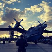 ���������� ������, ���� ������� �����, 36 ���, ������������ ��� ������, ����� � ���������, ���������