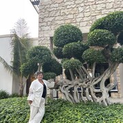  ,   , 53 ,     , c 