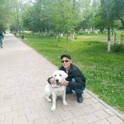 ���������� ������, ���� ������� �������, 44 ����, ������������ ��� c�������� ���������