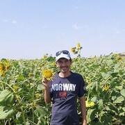 ���������� �������, ���� ������� ������, 43 ����, ������������ ��� ������, ����� � ���������, c�������� ���������