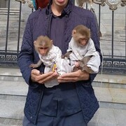 ���������� ������, ���� ������� �����, 31 ���, ������������ ��� ������, ����� � ���������