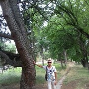 ���������� �����������, ���� ������� �����, 41 ���, ������������ ��� ������, ����� � ���������, c�������� ���������