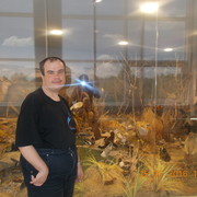 ���������� ������ �����, ���� ������� �������, 37 ���, ������������ ��� ������, ����� � ���������, c�������� ���������