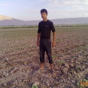  ,    , 31 ,   