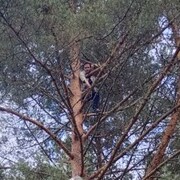 ���������� ������, ���� ������� ������, 26 ���, ������������ ��� ������, ����� � ���������, ���������