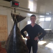 ���������� ������� ��������, ���� ������� ALEX, 55 ���, ������������ ��� ������, ����� � ���������, c�������� ���������