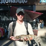 ���������� ��������, ���� ������� Kitkat, 32 ����, ������������ ��� ������